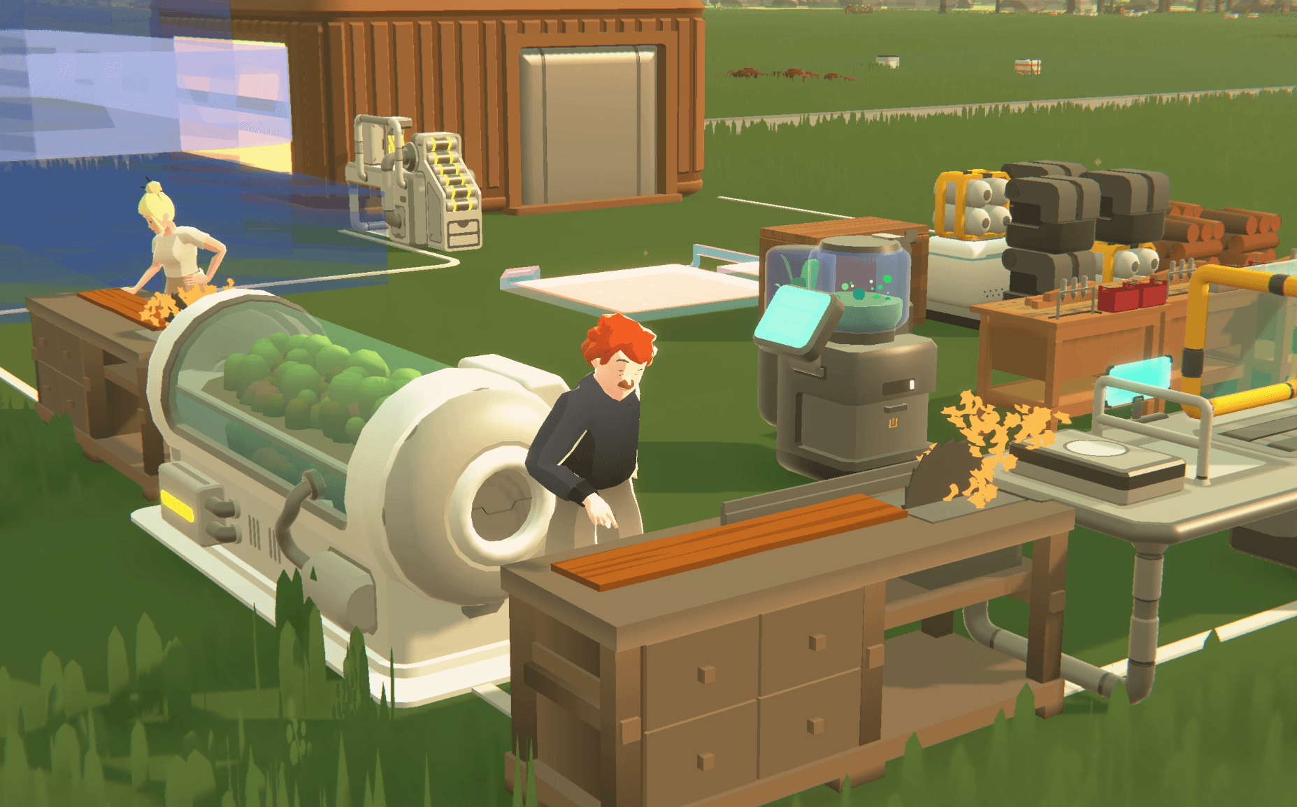 SEED — characters in a shared living space