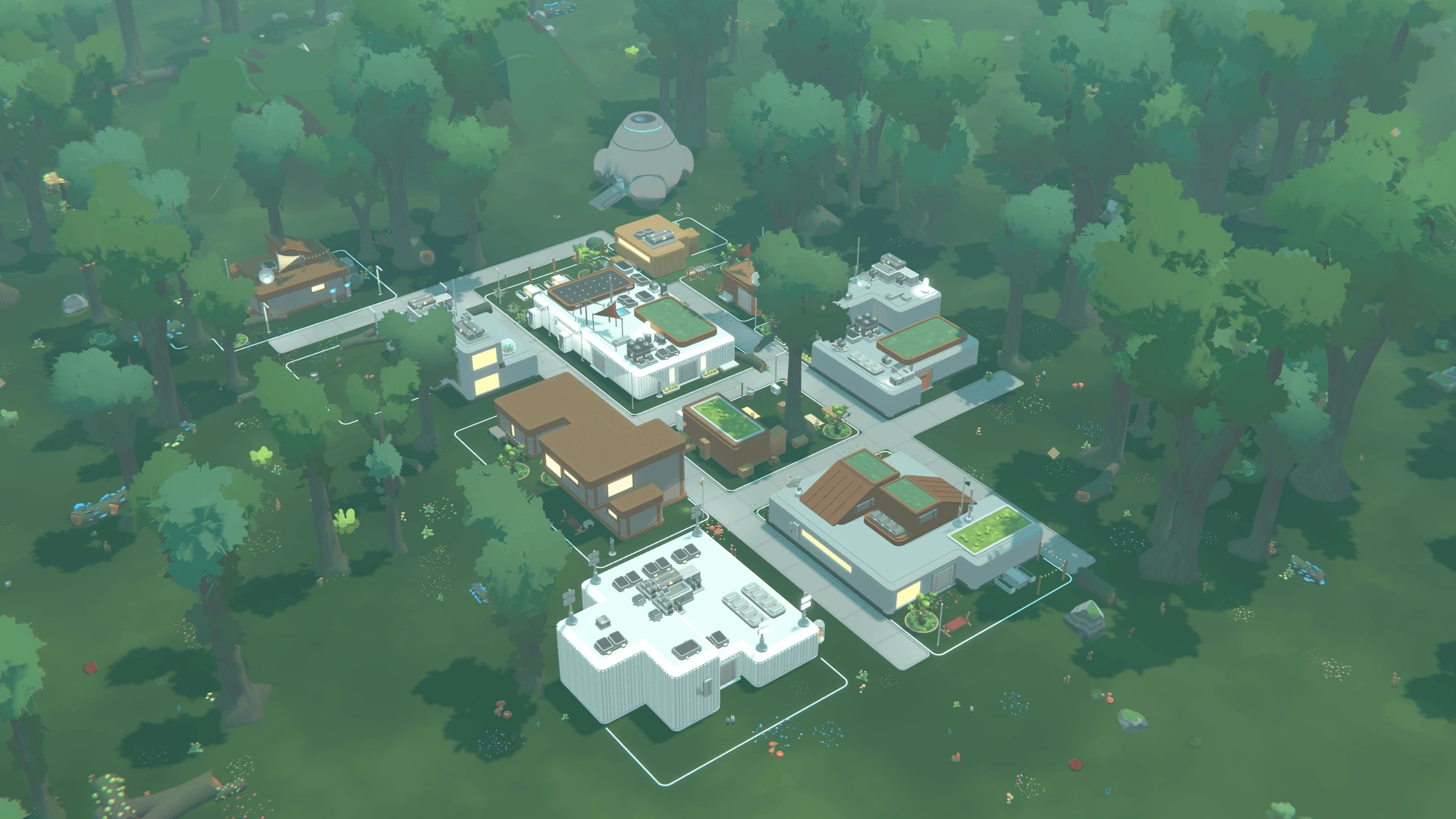 Found a society
