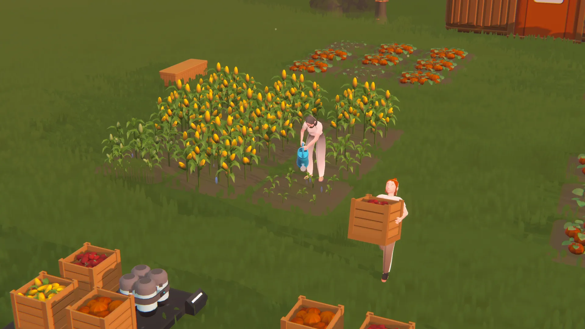 Seedlings farming the land in Avesta